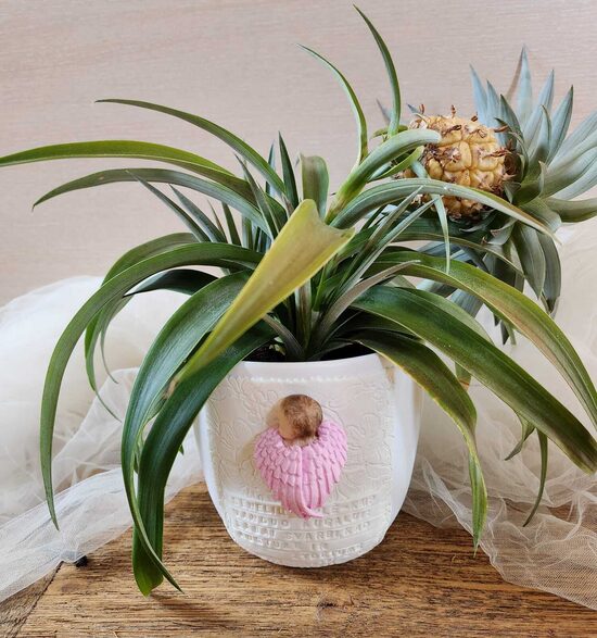 Angeliuku dekoruotas vazonėlis 